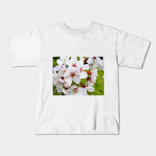 Photography - More cherry blossom Kids T-Shirt